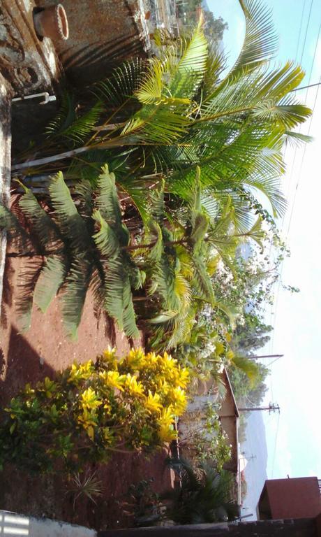 Vila Bliss Lonavala Exteriér fotografie